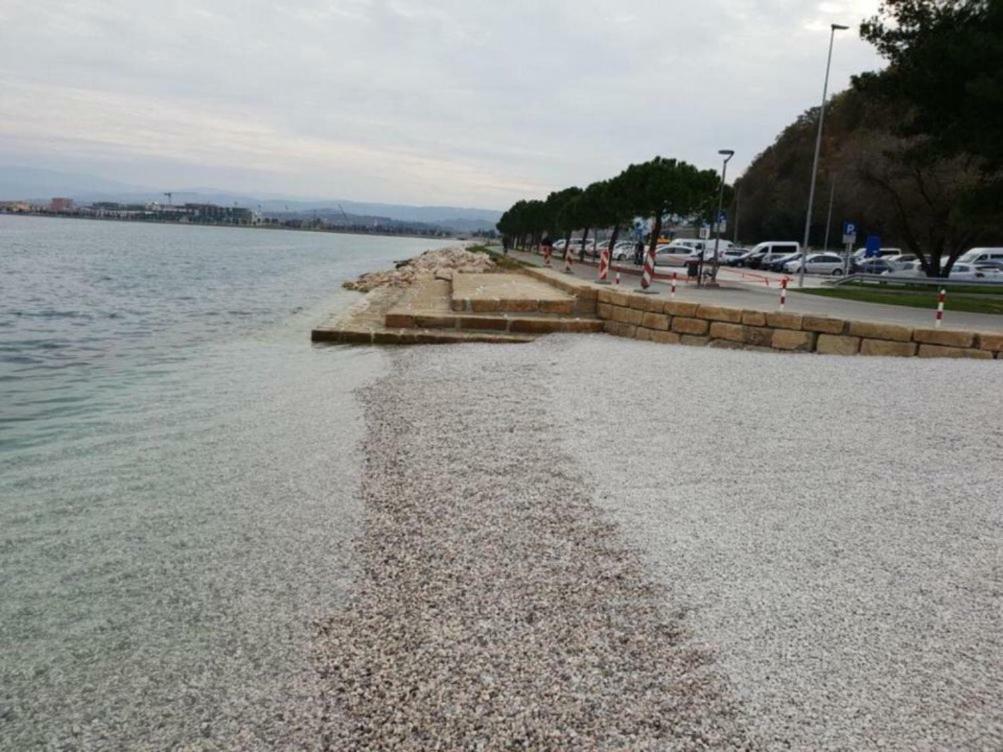 Sobe Al Moletto Privatunterkunft *